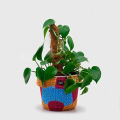 Adorable Projects Official Hamanoura Pot Covers